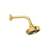 Chuveiro Gold Acqua Plus Com Tubo Curvo 1990.GL.STD - Deca - vista 2