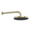 Chuveiro Redondo Parede Flex Max Summer Gold 2085.SM.STD.MT - Deca - vista 2