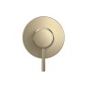 Acabamento Monocomando Chuveiro Redonda You Summer Gold 4993.SM104.CHU.MT - Deca - vista 2