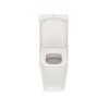 Kit Bacia Caixa Acoplada Itens De Instalação Gap Beige C323723010 - Roca - vista 3