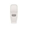 Kit Bacia Convencional e Itens De Instalação Gap Beige C323727011 - Roca - vista 3
