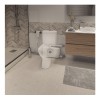 SFA SANIBEST PRO Triturador sanitário para uso intensivo - 220V B3PROBR - Sanitrit - vista 6