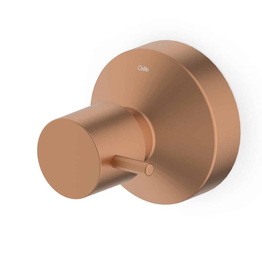 Acabamento De Registro Base Reforma 1.1/4 E 1.1/2 Basic Rose Gold Matte B5040C7R2B - Celite
