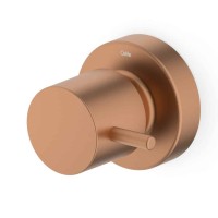 Acabamento De Registro Base Reforma 1/2, 3/4, 1 Basic Rose Gold Matte (Compatível Com A Base De Registro Deca E Similares De 16 Estrias) B5041C7R2B