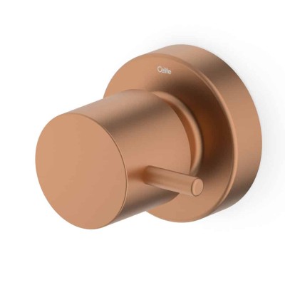 Acabamento De Registro Base Reforma 1/2, 3/4, 1 Basic Rose Gold Matte (Compatível Com A Base De Registro Deca E Similares De 16 Estrias) B5041C7R2B