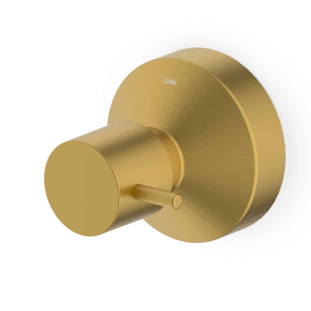 Acabamento De Registro Base Reforma 1.1/4 E 1.1/2 Basic Gold Matte B5050C7R1B - Celite
