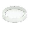 Cuba De Apoio Oval Sem Mesa 450X400 Mm Design D5 1380850017300 - Celite - vista 3