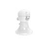 Chuveiro Elétrico SS 3 Temperaturas Branco 220V/5500W - Zagonel - vista 2