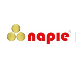 Napie
